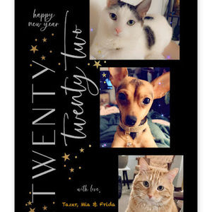 Meet your Posher, Ivonne